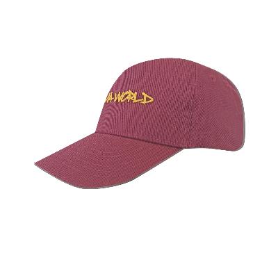 Casquette bordeaux